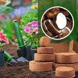 Kitchen Garden Organic Coconut Coir for Plants Pack of 2