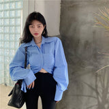 Fashion Top Blue Shirt Women's Design Sense Niche Winter Look New Shirt